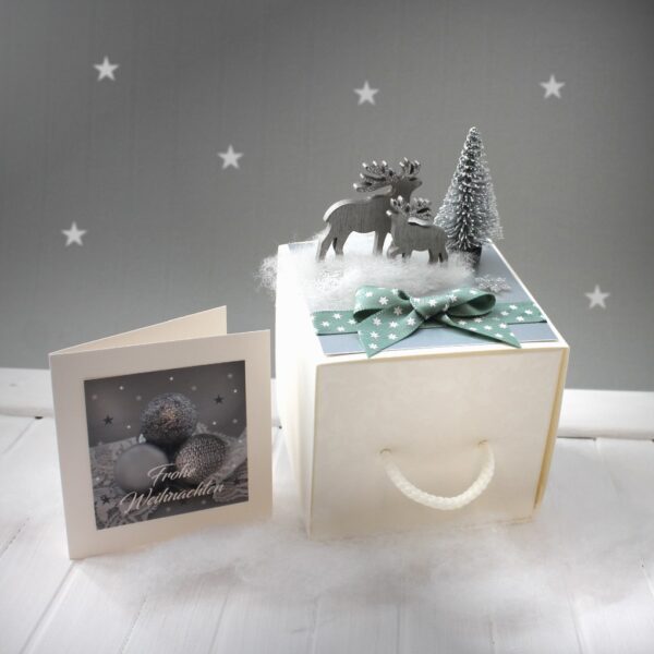 Geldgeschenk zu Weihnachten "die besondere Verpackung" incl. Weihnachtskärtchen Design 71009