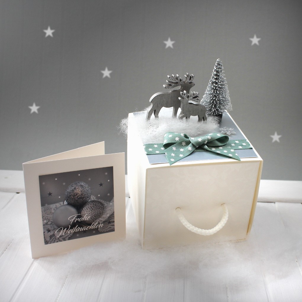 Geldgeschenk zu Weihnachten "die besondere Verpackung" incl. Weihnachtskärtchen Design 71009